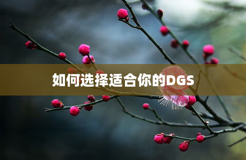 如何选择适合你的DGS