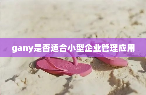 gany是否适合小型企业管理应用