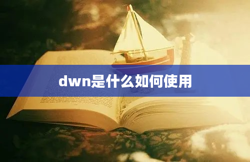 dwn是什么如何使用