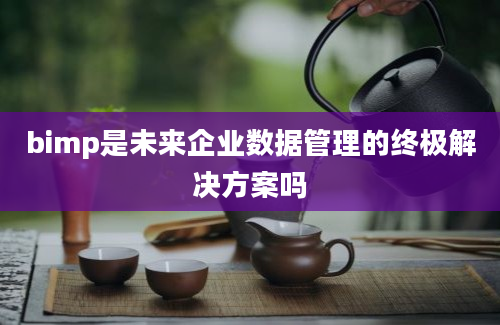 bimp是未来企业数据管理的终极解决方案吗