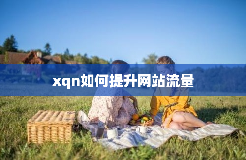 xqn如何提升网站流量