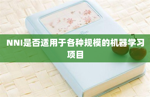 NNI是否适用于各种规模的机器学习项目