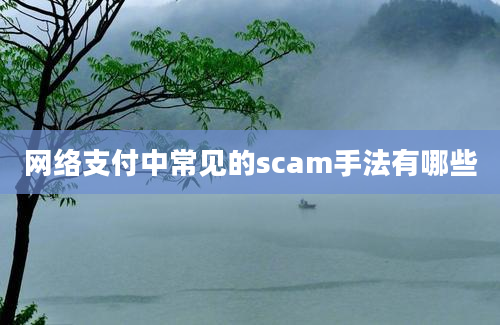 网络支付中常见的scam手法有哪些