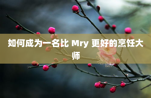 如何成为一名比 Mry 更好的烹饪大师