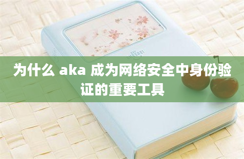 为什么 aka 成为网络安全中身份验证的重要工具