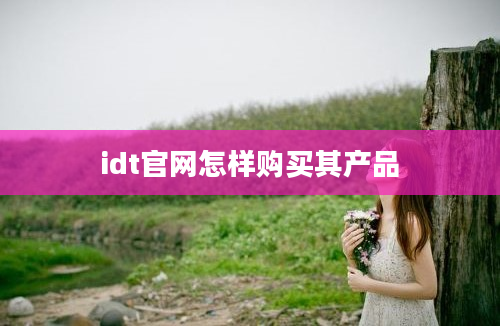 idt官网怎样购买其产品