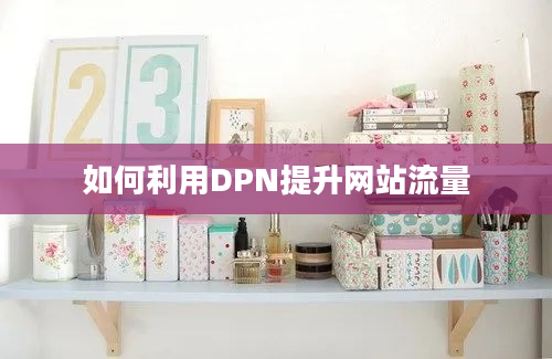 如何利用DPN提升网站流量