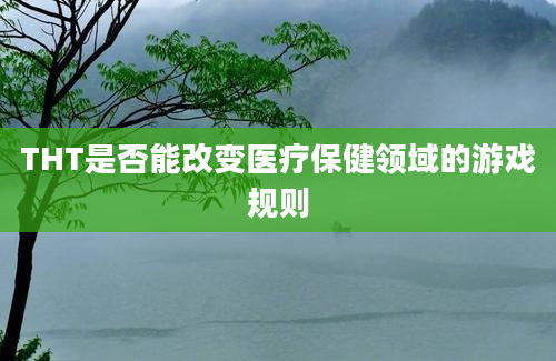 THT是否能改变医疗保健领域的游戏规则