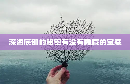 深海底部的秘密有没有隐藏的宝藏