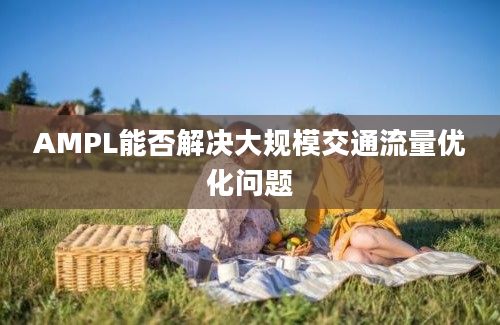 AMPL能否解决大规模交通流量优化问题