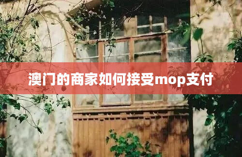 澳门的商家如何接受mop支付