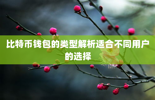 比特币钱包的类型解析适合不同用户的选择