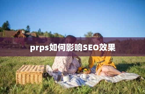 prps如何影响SEO效果