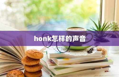 honk怎样的声音