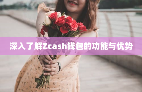 深入了解Zcash钱包的功能与优势