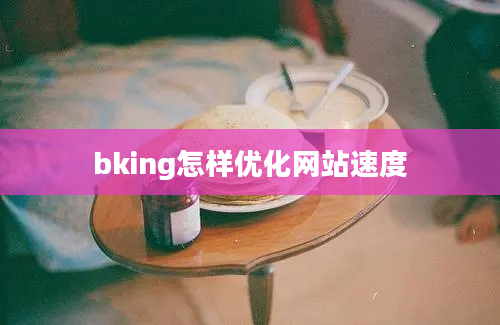 bking怎样优化网站速度