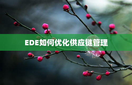 EDE如何优化供应链管理