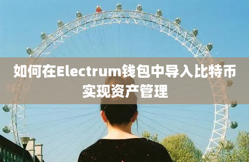 如何在Electrum钱包中导入比特币实现资产管理