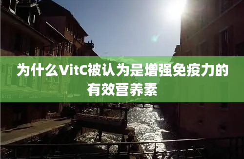 为什么VitC被认为是增强免疫力的有效营养素