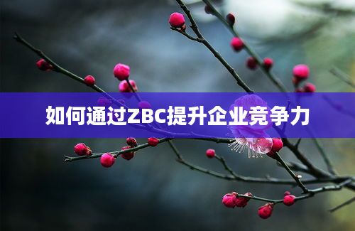 如何通过ZBC提升企业竞争力