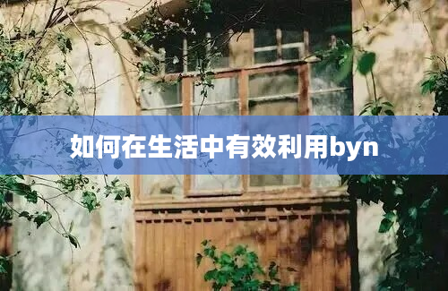 如何在生活中有效利用byn