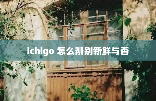 ichigo 怎么辨别新鲜与否