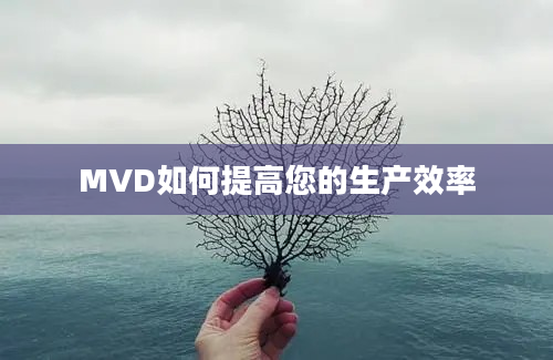 MVD如何提高您的生产效率