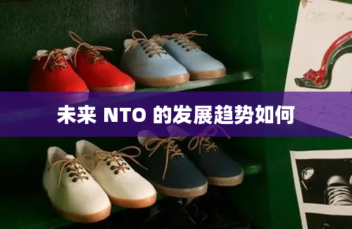 未来 NTO 的发展趋势如何