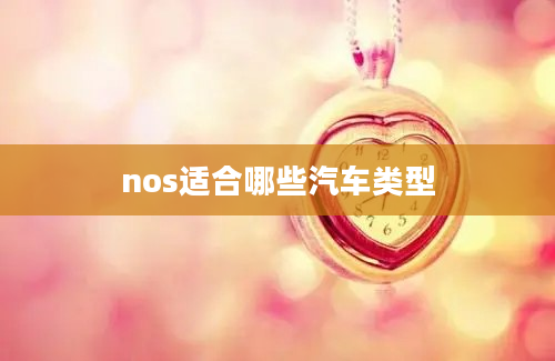 nos适合哪些汽车类型