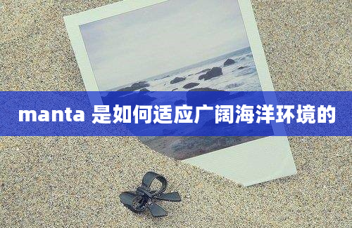 manta 是如何适应广阔海洋环境的