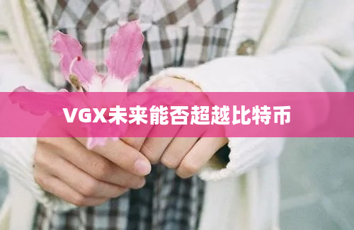 VGX未来能否超越比特币