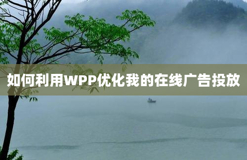 如何利用WPP优化我的在线广告投放