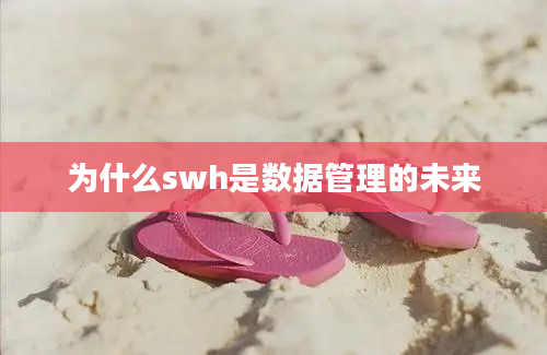 为什么swh是数据管理的未来