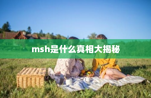 msh是什么真相大揭秘