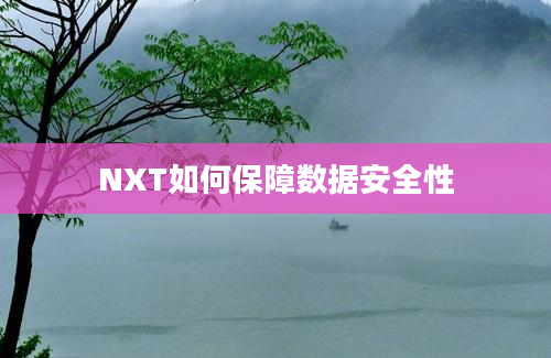 NXT如何保障数据安全性