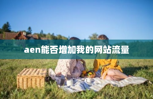 aen能否增加我的网站流量