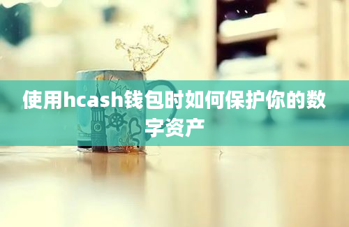 使用hcash钱包时如何保护你的数字资产