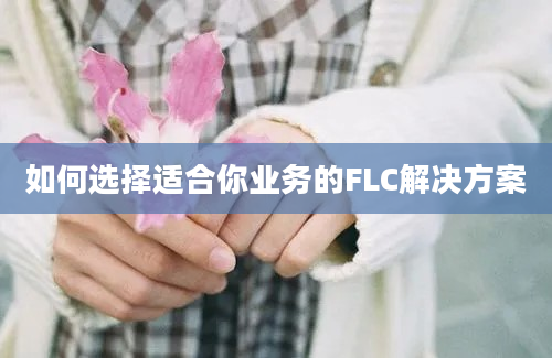 如何选择适合你业务的FLC解决方案