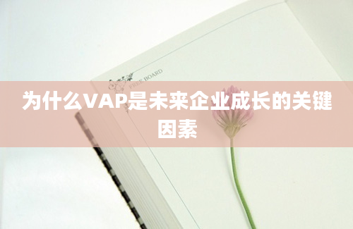 为什么VAP是未来企业成长的关键因素