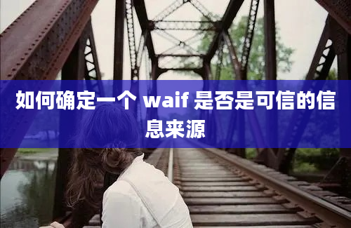 如何确定一个 waif 是否是可信的信息来源