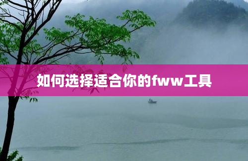 如何选择适合你的fww工具