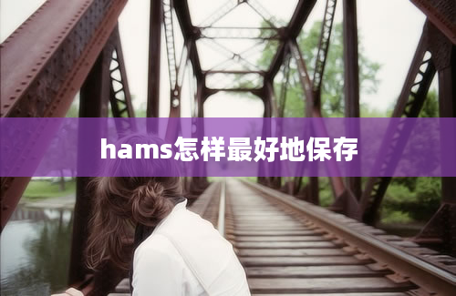 hams怎样最好地保存