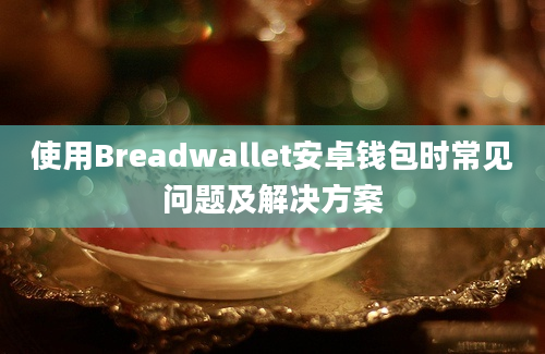 使用Breadwallet安卓钱包时常见问题及解决方案