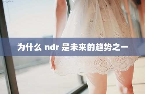 为什么 ndr 是未来的趋势之一