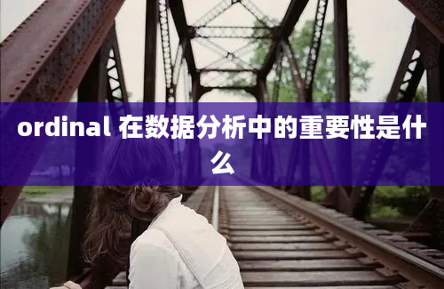 ordinal 在数据分析中的重要性是什么