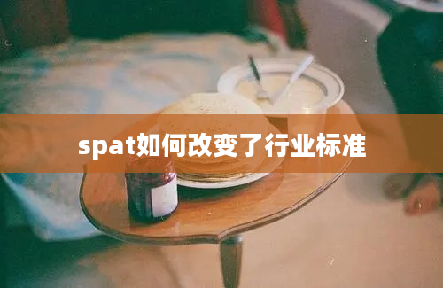 spat如何改变了行业标准