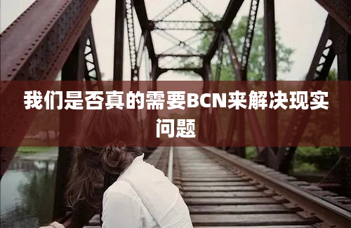 我们是否真的需要BCN来解决现实问题