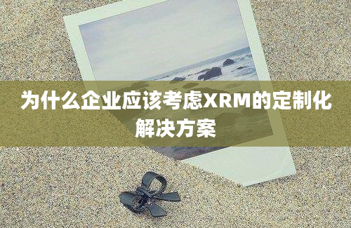 为什么企业应该考虑XRM的定制化解决方案