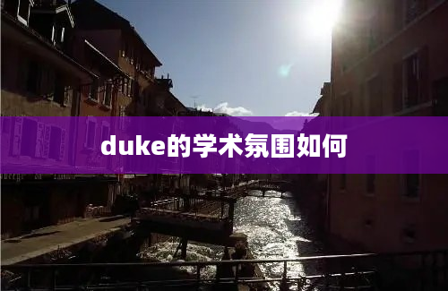 duke的学术氛围如何