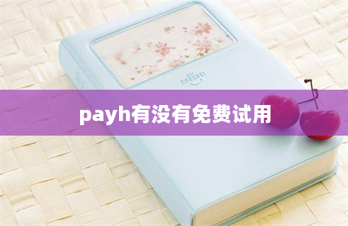 payh有没有免费试用